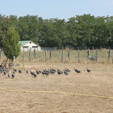 Délices de nos Campagnes