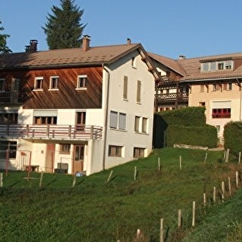Les Cyclamens - CHAUX-DES-CROTENAY