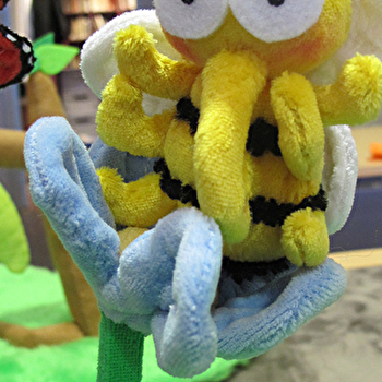 Histoire d’insectes - BESANCON