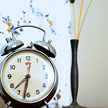 Bienvenue chez Mémé - TREIGNY-PERREUSE-SAINTE-COLOMBE