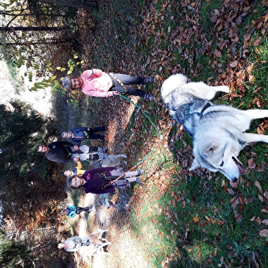 Séjours classes découvertes au Centre Prémonval
