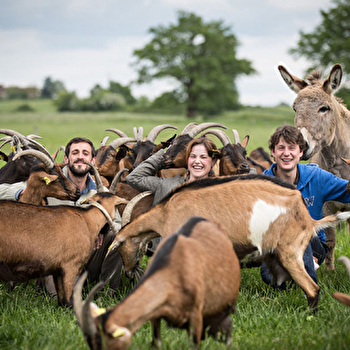 GAEC des Bien Vivants - CHAMPLECY