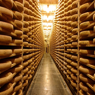 Le trappeur - séjour neige