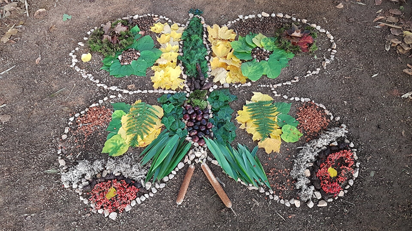 Animations Nature & Biodiversité