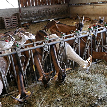 Ferme Seidel - GROSMAGNY