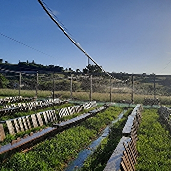 L'Escargot Brionnais - BRIANT