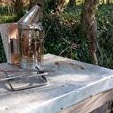 Abeilles et Découvertes