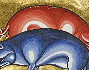 Visite scolaire 'Couleurs de verre et fourrures de pierre : les animaux de la cathédrale' - SENS