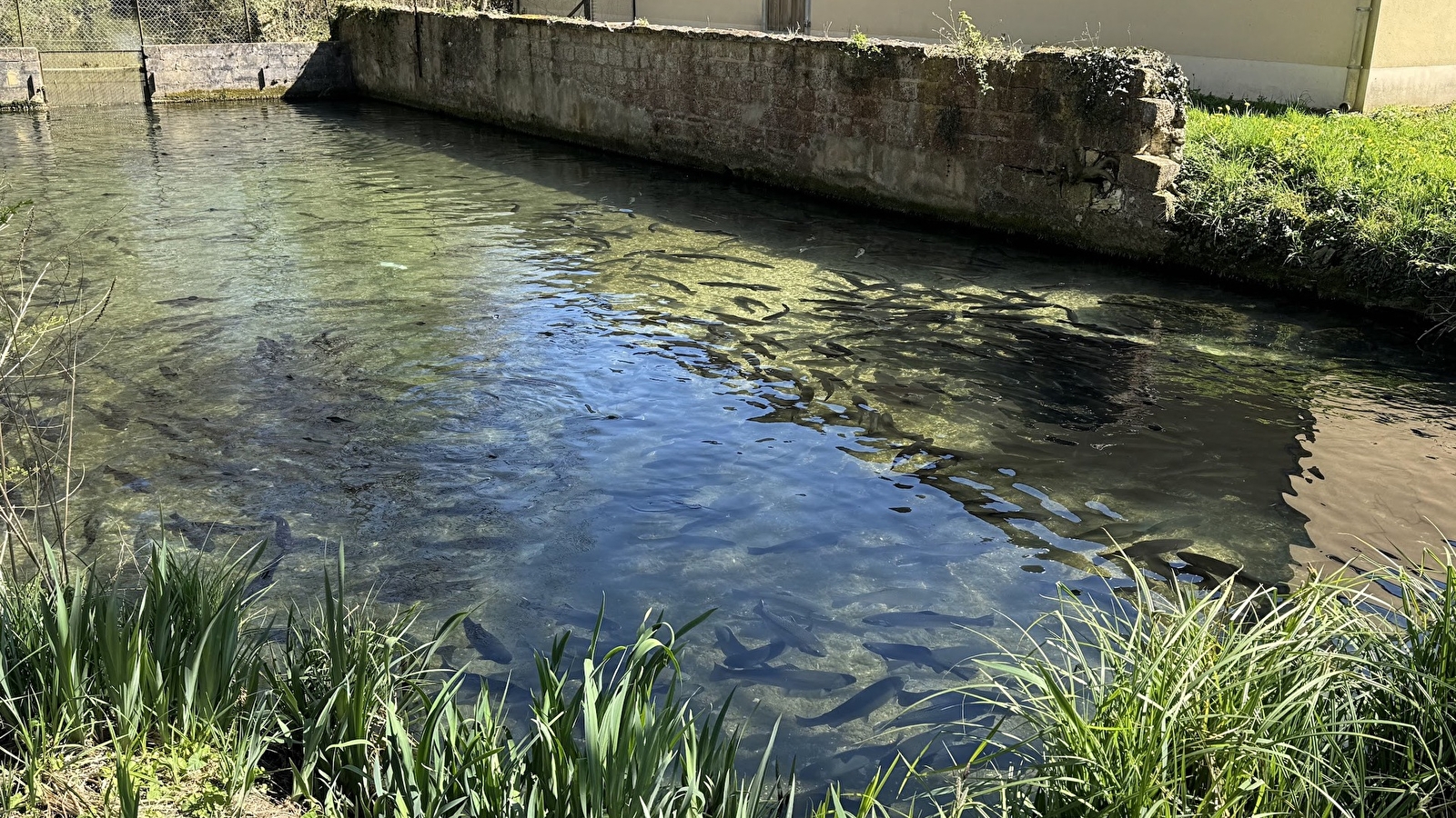 Ferme Aquacole de Crisenon