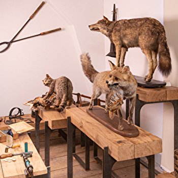 Si le loup y était... - CHAMPLITTE