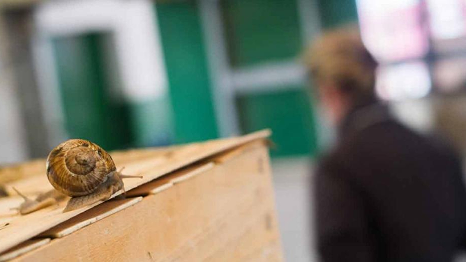 La Maison de Jacote by Jacot Billet