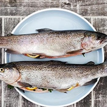 La Pisciculture des Grottes - LES PLANCHES-PRES-ARBOIS
