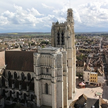 Visite GUIDIGO - Sens, de Napoléon à Bonaparte - SENS