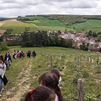 Visite pédagogique du patrimoine de l'Yonne en Bourgogne - BEINE