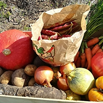Ferme de Vézelay Terroirs - SAINT-PERE
