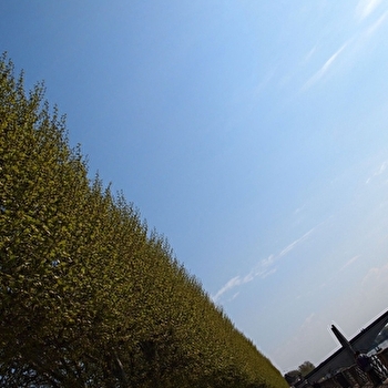 Visite /pratique photographique Le point à la ligne - CHALON-SUR-SAONE