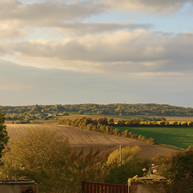 Bienvenue chez Mémé