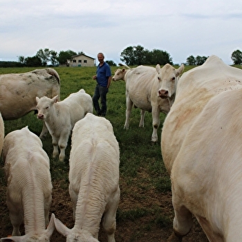 La viande à Billoux - CHAROLLES