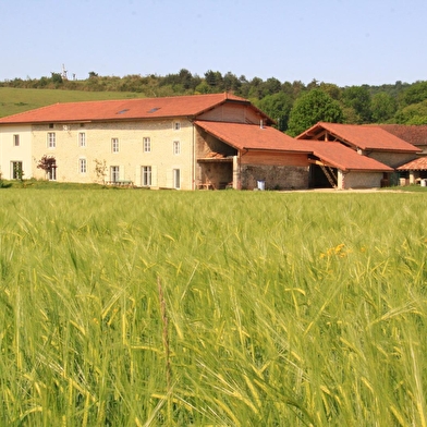 Le Clos à l'Orée des buis