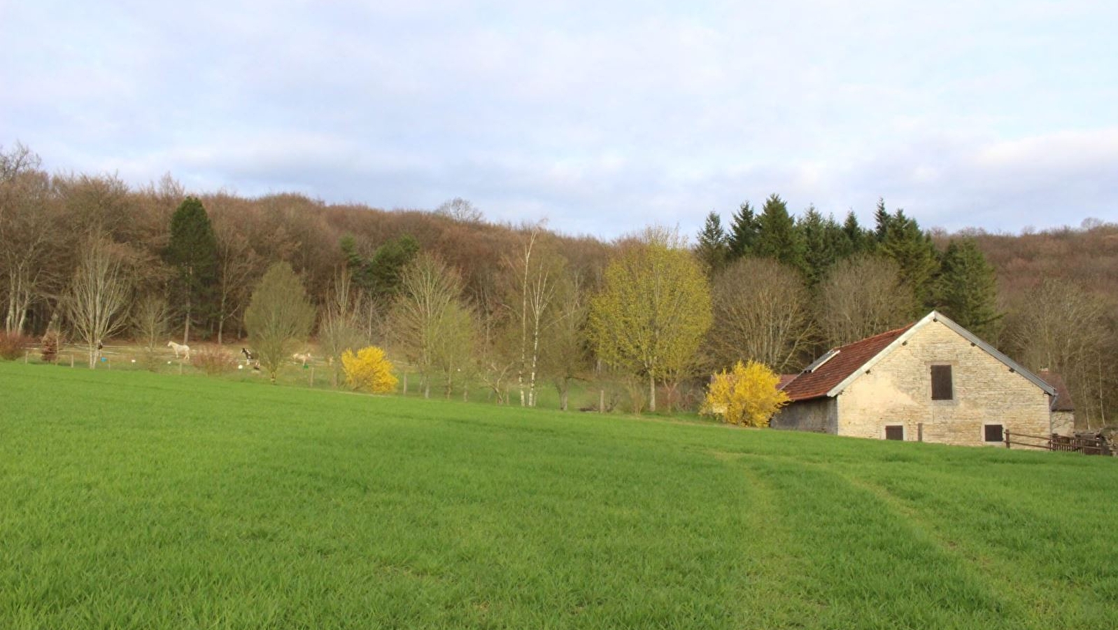 La Rente de Chamerey