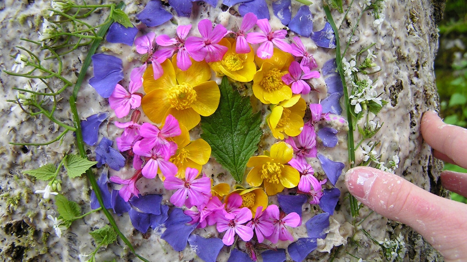 Classe nature dans le Jura