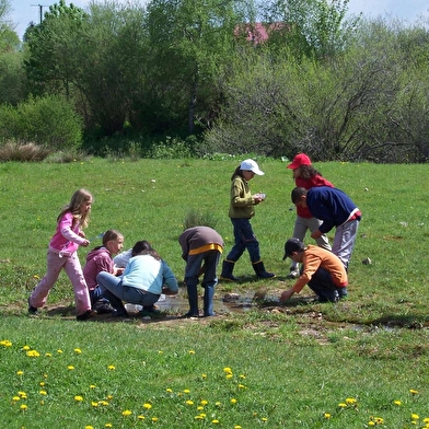 Classe verte dans les Montagnes du Jura