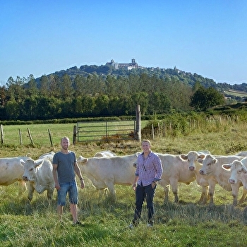 La Vache Pechery - BROSSES