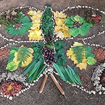 Animations Nature & Biodiversité - CUISERY