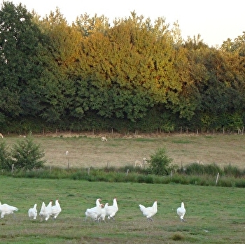Maison Marquis - VARENNES-SAINT-SAUVEUR