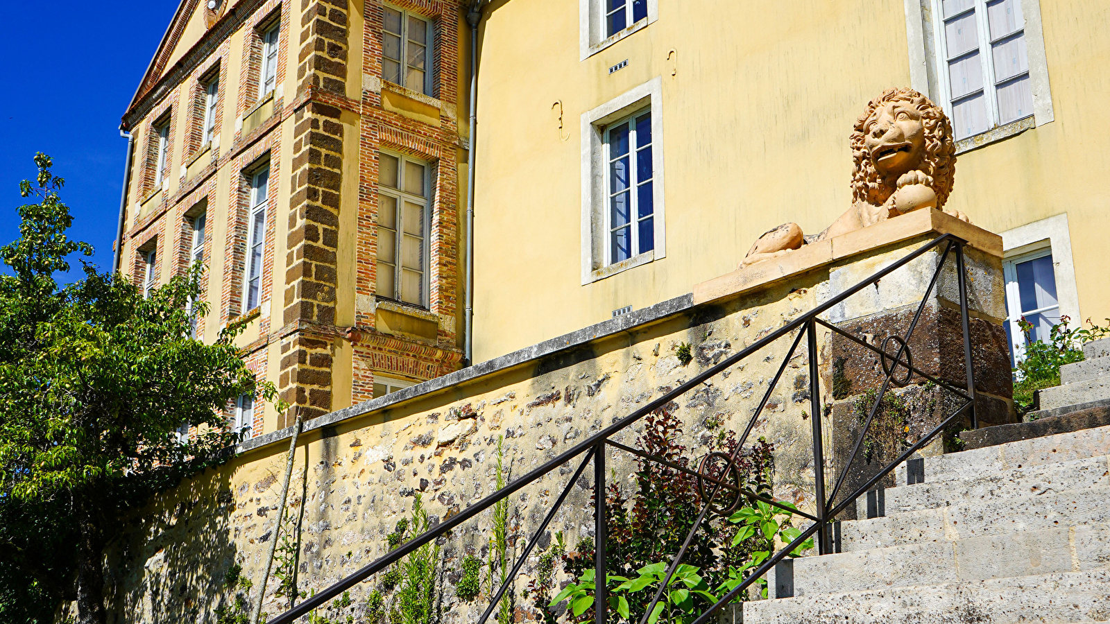 Immersion dans la vie et l’œuvre de Colette