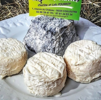 Caprices des chèvres - COULOUTRE