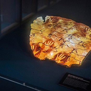 La Pré-Histoire de La Vache qui rit - LONS-LE-SAUNIER