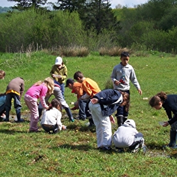 Le P'tit écolo - LONS-LE-SAUNIER