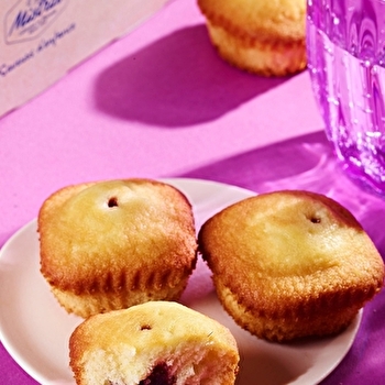 Biscuiterie Mistral - MISEREY-SALINES