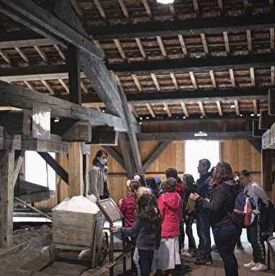 Découvrir le sel du Jura : visite guidée de la Grande Saline de Salins-les-Bains