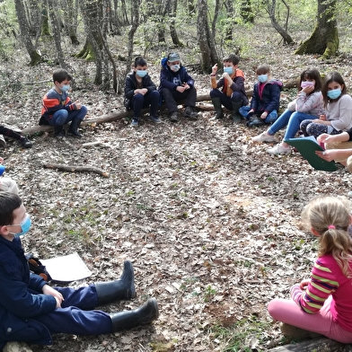 Animations 'Hors les Murs'