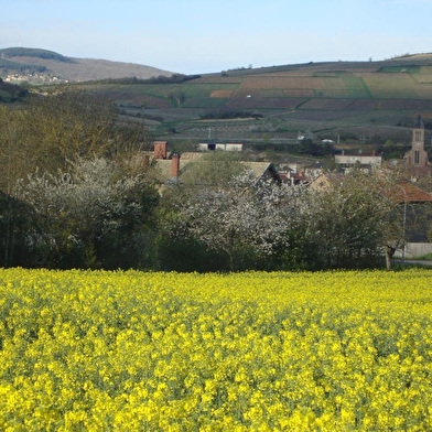 Manoir des Grandes Vignes