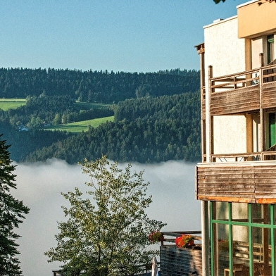 Classe nature dans le Jura