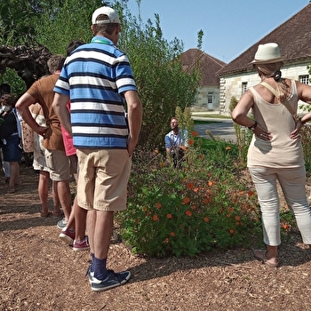 A la découverte des plantes sauvages de la Saline - ARC-ET-SENANS