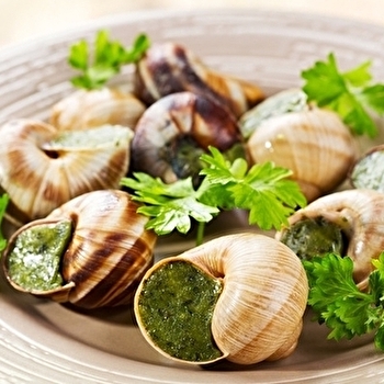 Hélice - l'escargotier beaunois - BEAUNE