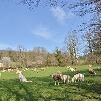 Au chant des Lulus - VAL-D'EPY