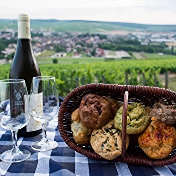 Pyneau Prunutz - AUXERRE