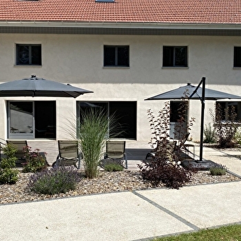 Les Gites du Sapey - LES PREMIERS SAPINS