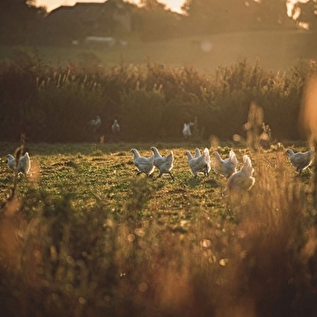 Ferme Le Devant - LA CHAPELLE-NAUDE