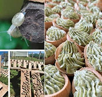 Les Escargots d'Amandine - LA CHAPELLE-THECLE