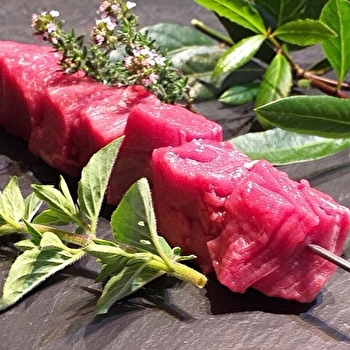 Viande des Prairies - SAINT-JULIEN-DE-JONZY