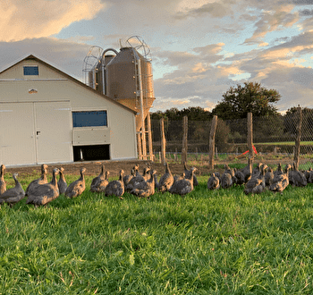 La Ferme de Marcelizon - CHAMPLECY