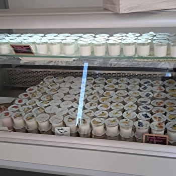 Bar à Lait - GAEC Elevage Galoche - CHATENOY-LE-ROYAL