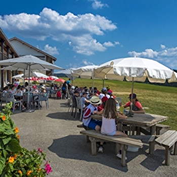 Graine d'écureuil - NANCHEZ