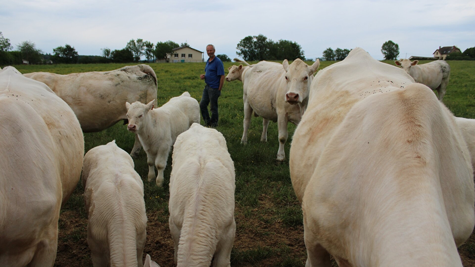 La viande à Billoux